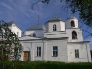 Церковь Троицы Живоначальной - Большое Городно - Валдайский район - Новгородская область