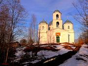 Церковь Троицы Живоначальной - Большое Городно - Валдайский район - Новгородская область