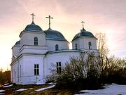 Церковь Троицы Живоначальной, , Большое Городно, Валдайский район, Новгородская область