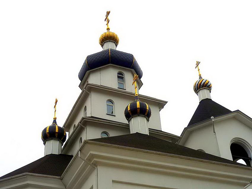 Минск. Церковь Софии Слуцкой. архитектурные детали, Купола церкви, вид с северо-запада