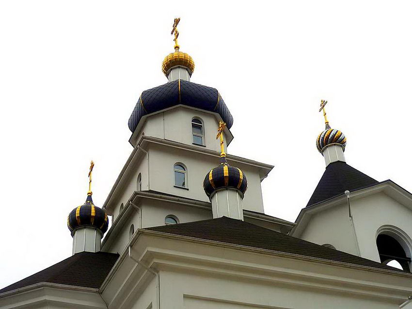 Церковь Софии Слуцкой, Минск (Минск, город, Беларусь, Минская область). архитектурные детали, Купола церкви, вид с северо-запада