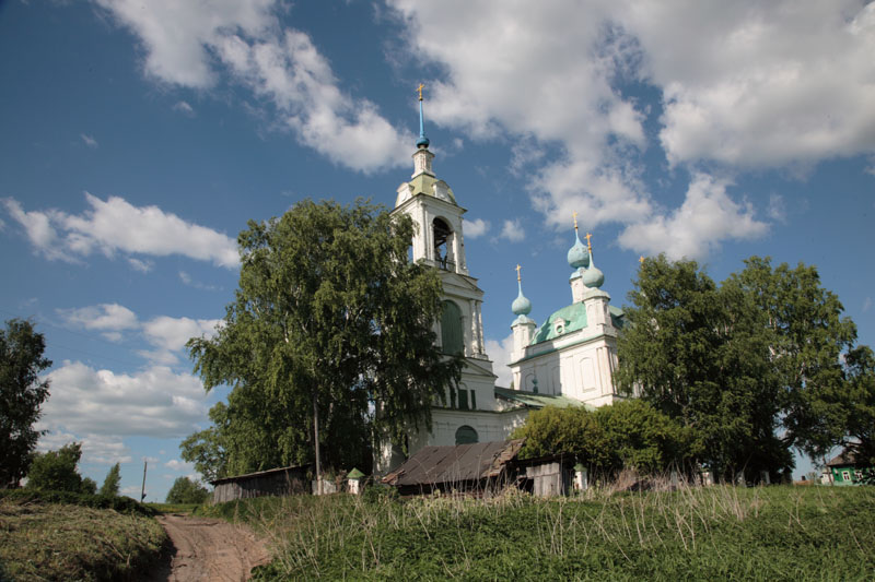 Алексино. Церковь Покрова Пресвятой Богородицы. общий вид в ландшафте