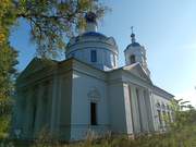 Николо-Перевоз. Рождества Пресвятой Богородицы, церковь