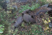 Церковь Воздвижения Креста Господня, упавшая главка<br>, Большое Филино, Ковернинский район, Нижегородская область