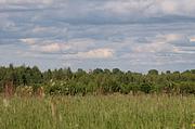 Церковь Воскресения Христова, , Воскресенское, урочище, Ростовский район, Ярославская область