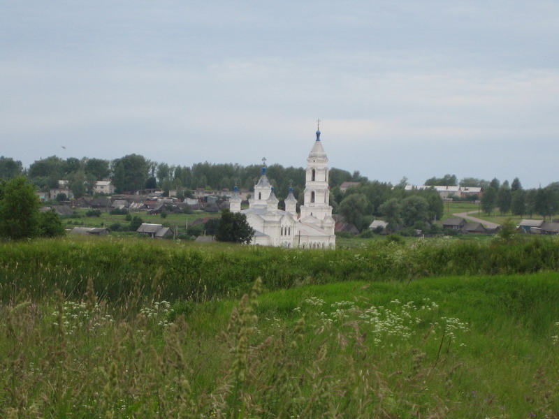 Церковь Покрова Пресвятой Богородицы, Кремёнки (Дивеевский район, Нижегородская область). общий вид в ландшафте