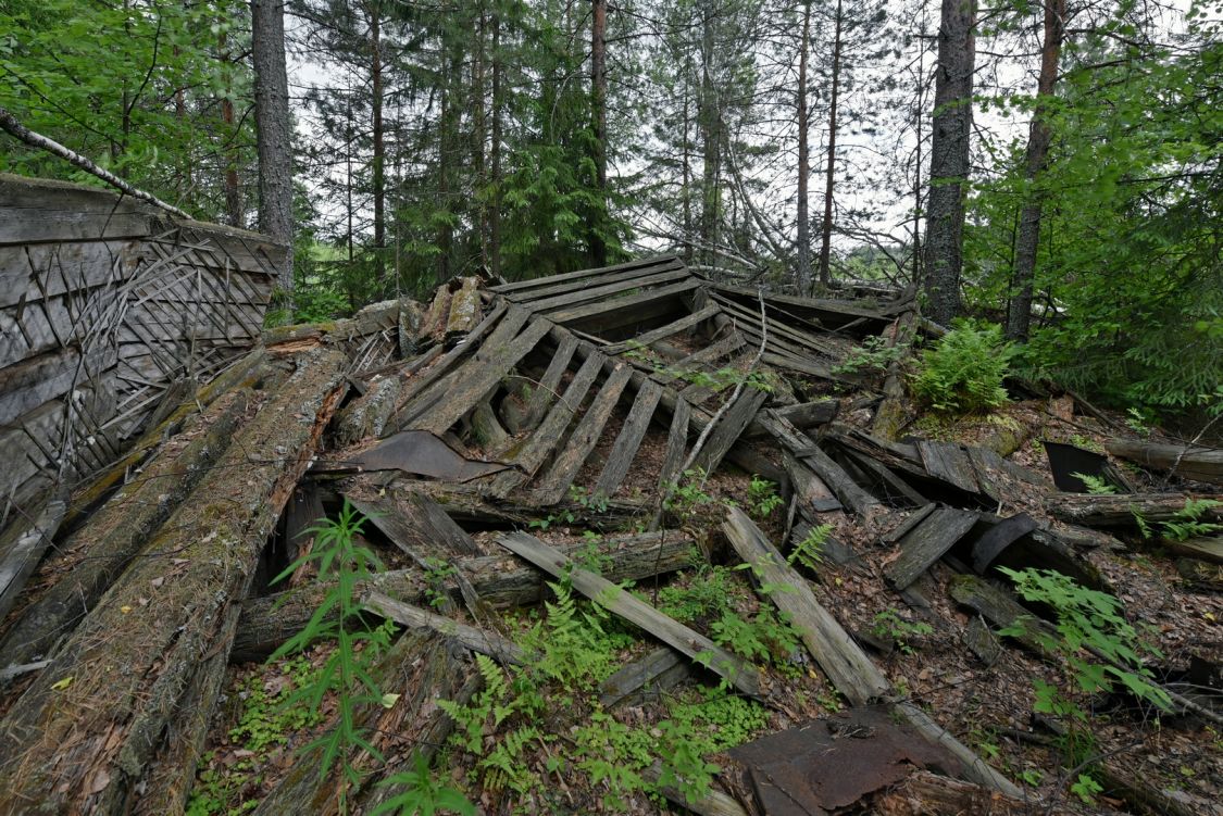 Содомово, урочище. Церковь Николая Чудотворца. интерьер и убранство, Руины алтарной апсиды