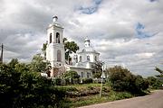 Церковь Димитрия Солунского, , Пужбол, Ростовский район, Ярославская область