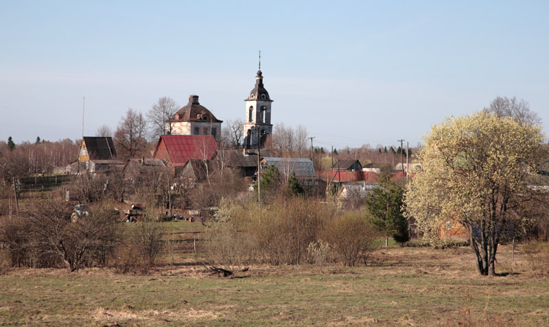 Веска, село. Церковь Николая Чудотворца. общий вид в ландшафте