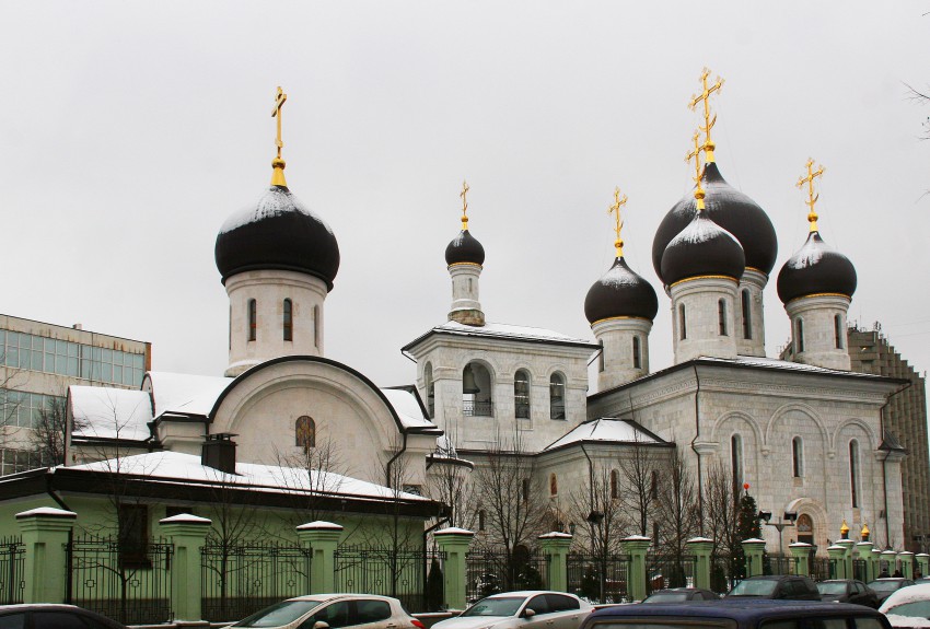 Рязанский. Церковь Введения Пресвятой Богородицы во Храм на Рязанском проспекте. общий вид в ландшафте