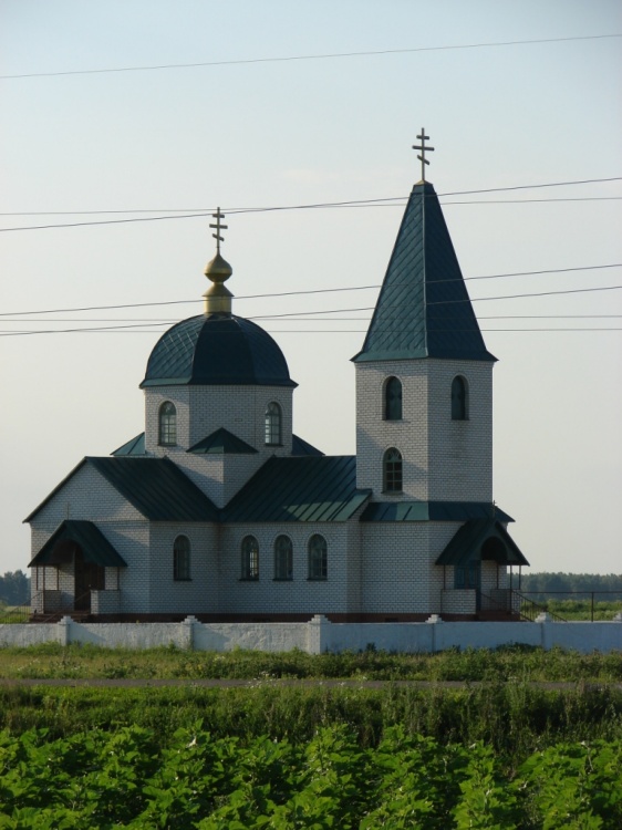 Моисеево-Алабушка. Церковь Николая Чудотворца. общий вид в ландшафте