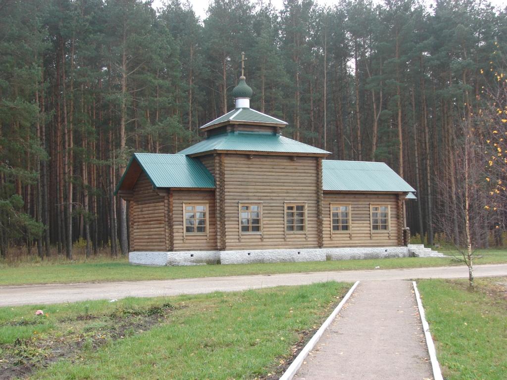 Жуковка. Церковь Воскресения Христова на городском кладбище. общий вид в ландшафте