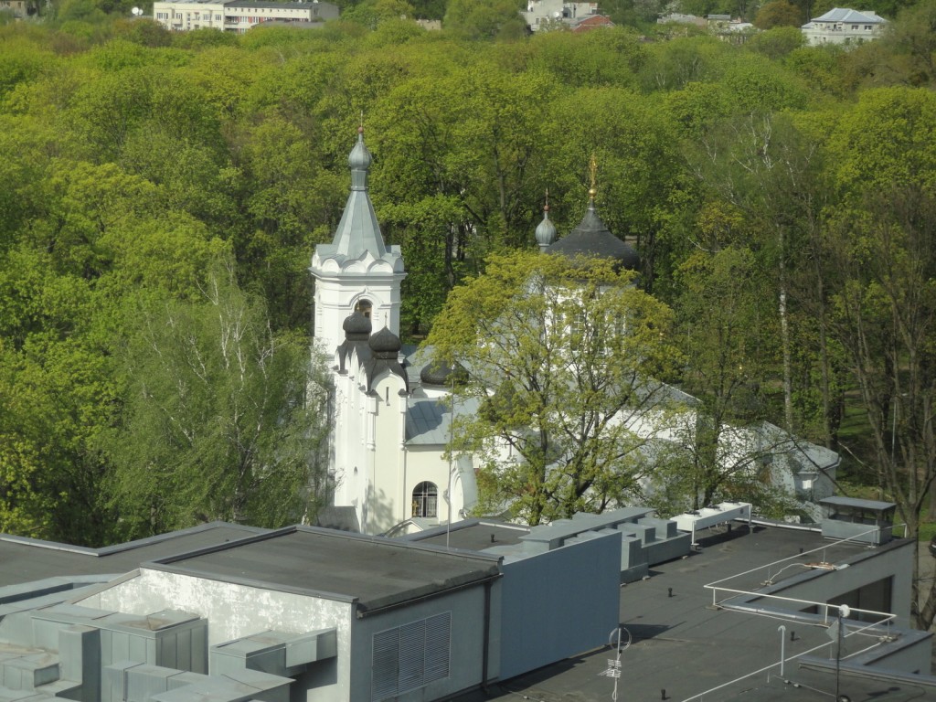 Каунас. Собор Благовещения Пресвятой Богородицы. общий вид в ландшафте