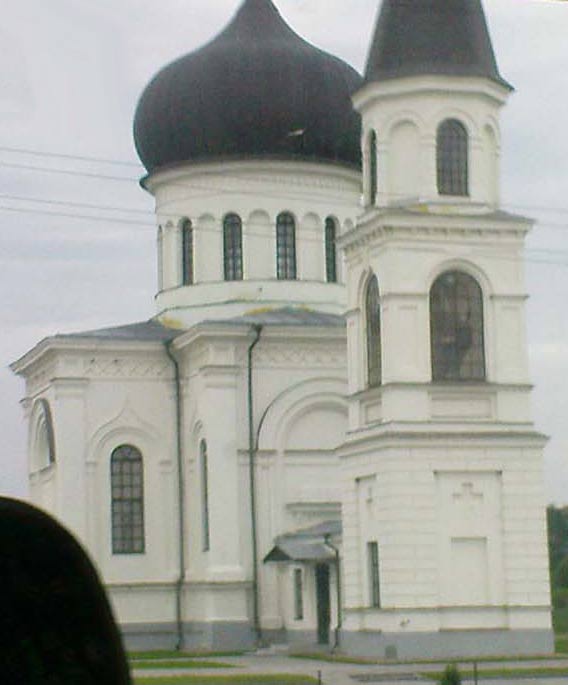 Вевис (Vievis). Церковь Успения Пресвятой Богородицы. фасады, Вид из окна рейсового автобуса
