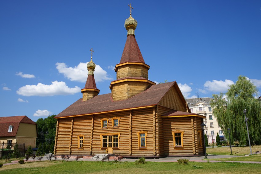 Брянск. Церковь Новомучеников Брянских. общий вид в ландшафте