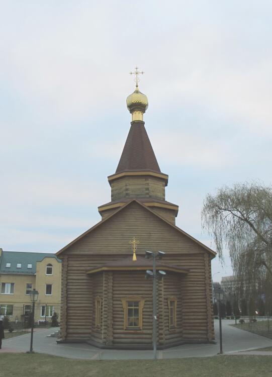 Церковь Новомучеников Брянских, Брянск (Брянск, город, Брянская область). общий вид в ландшафте