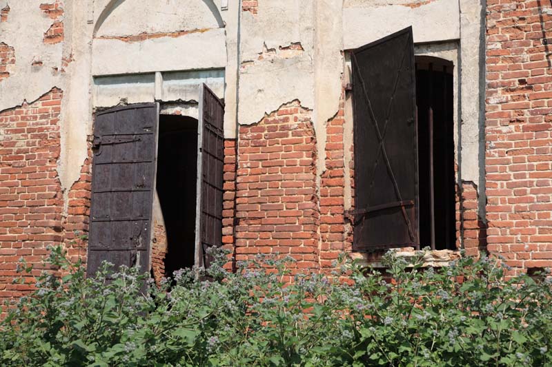Церковь Спаса Нерукотворного Образа, Пятницкое (Бабынинский район, Калужская область). архитектурные детали