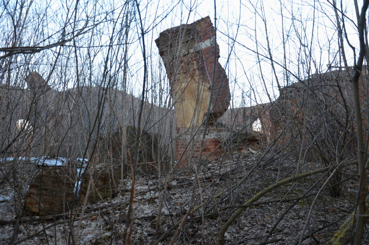 Церковь Успения Пресвятой Богородицы, Пол-Успенье (Краснозоренский район, Орловская область). архитектурные детали, В основной части