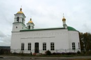 Церковь Рождества Христова - Поддубровка - Усманский район - Липецкая область