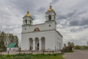 Церковь Рождества Христова - Поддубровка - Усманский район - Липецкая область