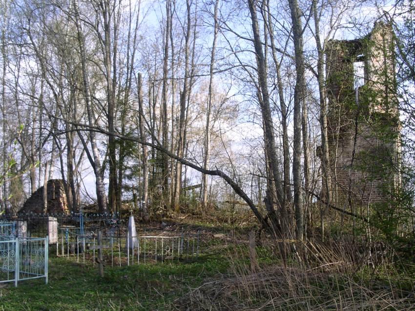 Церковь Успения Пресвятой Богородицы, Жельно, погост (Андреапольский район, Тверская область). фасады, вид с севера; справа - колокольня, слева - сохранившийся фрагмент алтарной апсиды(?)