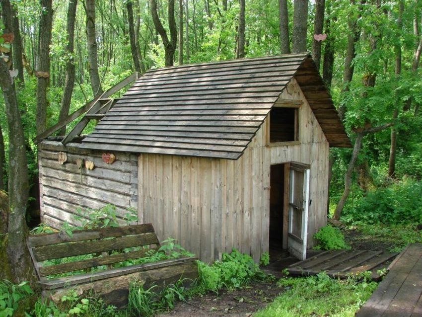 Часовня Космы и Дамиана, Холмецкий Хутор (Брасовский район, Брянская область). фасады, Купель