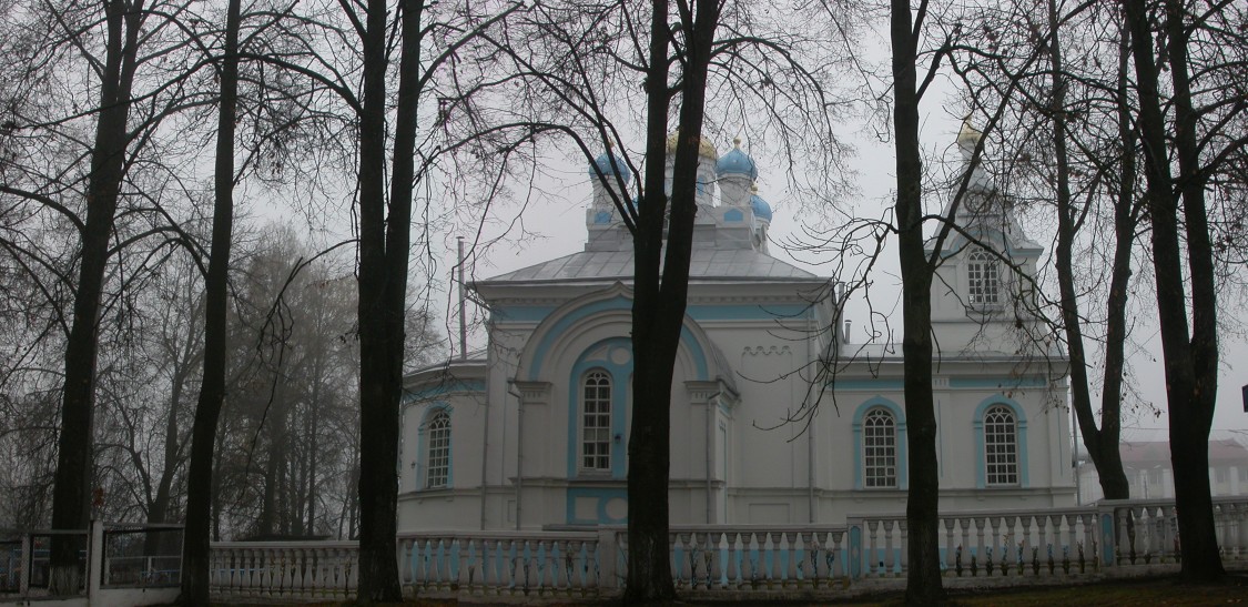 Церковь Марии Египетской, Вилейка (Вилейский район, Беларусь, Минская область). общий вид в ландшафте