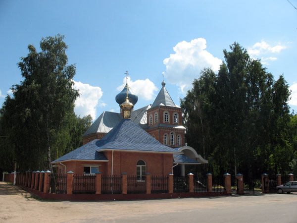 Церковь Рождества Христова, Борисов (Борисовский район, Беларусь, Минская область). общий вид в ландшафте