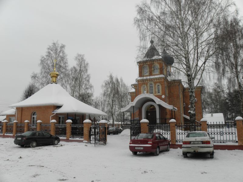 Церковь Рождества Христова, Борисов (Борисовский район, Беларусь, Минская область). общий вид в ландшафте
