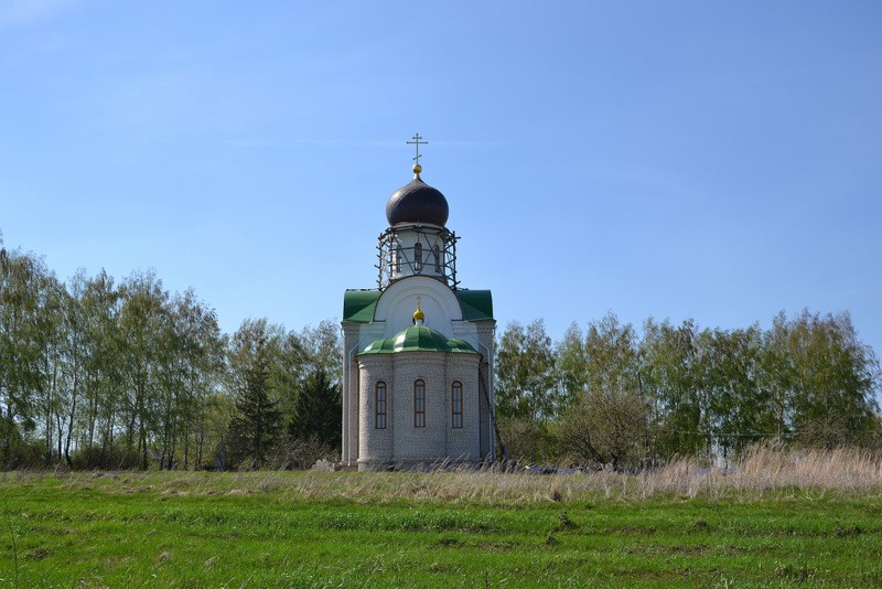 Церковь Димитрия Солунского, Новодмитровка (Орловский район, Орловская область). общий вид в ландшафте