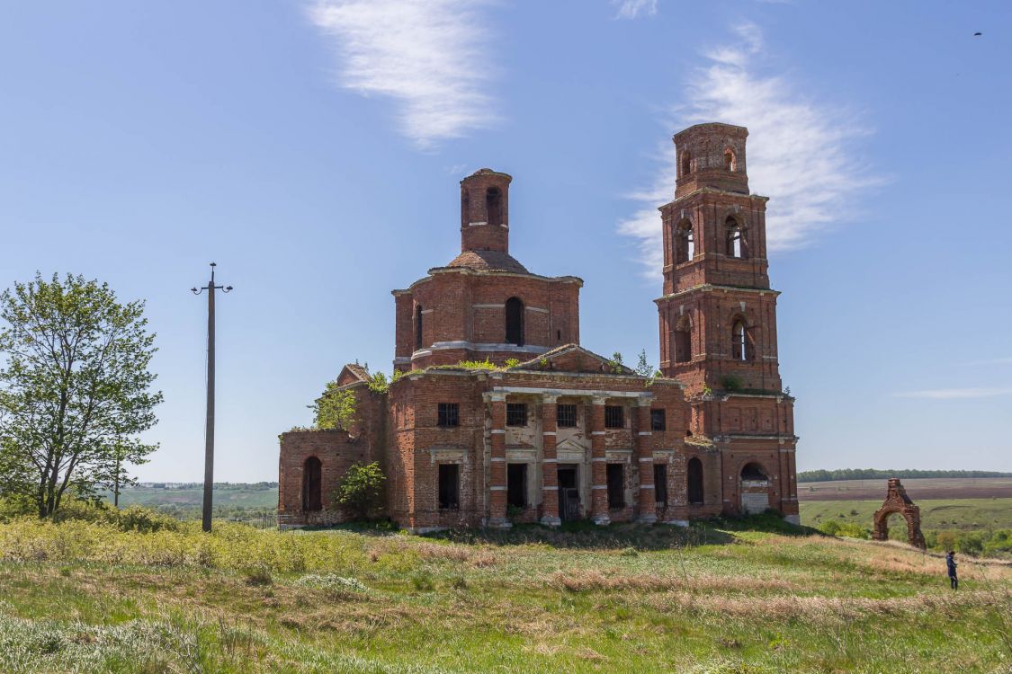 Церковь Казанской иконы Божией Матери, Стрешнево (Данковский район, Липецкая область). фасады, Вид с северо-востока