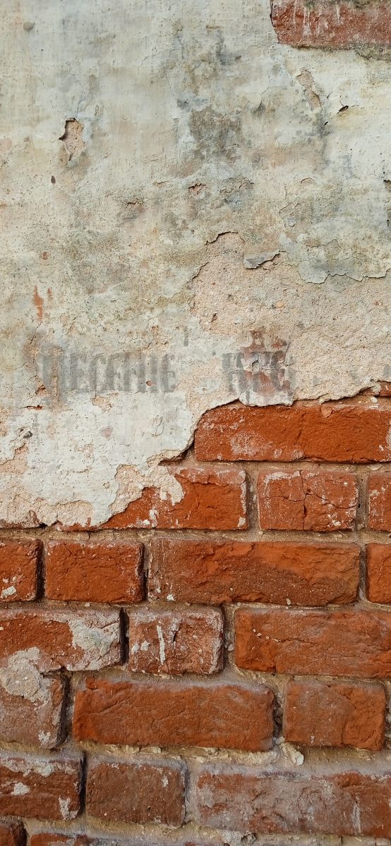 Церковь Ризоположения (Положения честной ризы Пресвятой Богородицы во Влахерне), Озерки, урочище (Чухломский район, Костромская область). интерьер и убранство, Подпись утраченой фресковой живописи.