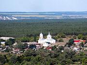 Церковь Покрова Пресвятой Богородицы, , Старотолучеево, Богучарский район, Воронежская область