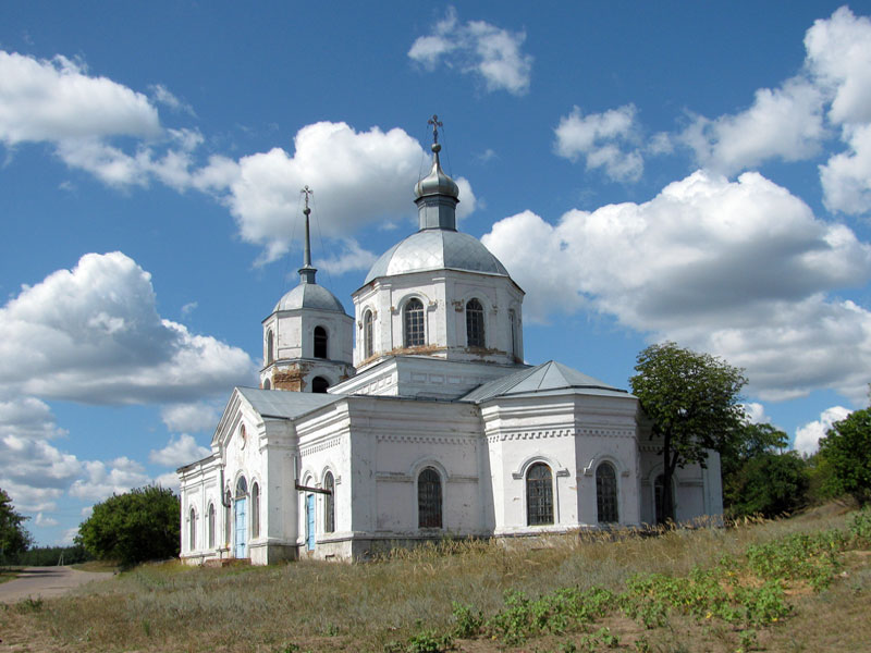 Церковь Покрова Пресвятой Богородицы, Старотолучеево (Богучарский район, Воронежская область). фасады