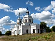 Церковь Покрова Пресвятой Богородицы, , Старотолучеево, Богучарский район, Воронежская область