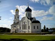 Церковь Троицы Живоначальной, , Заволжье, Городецкий район, Нижегородская область