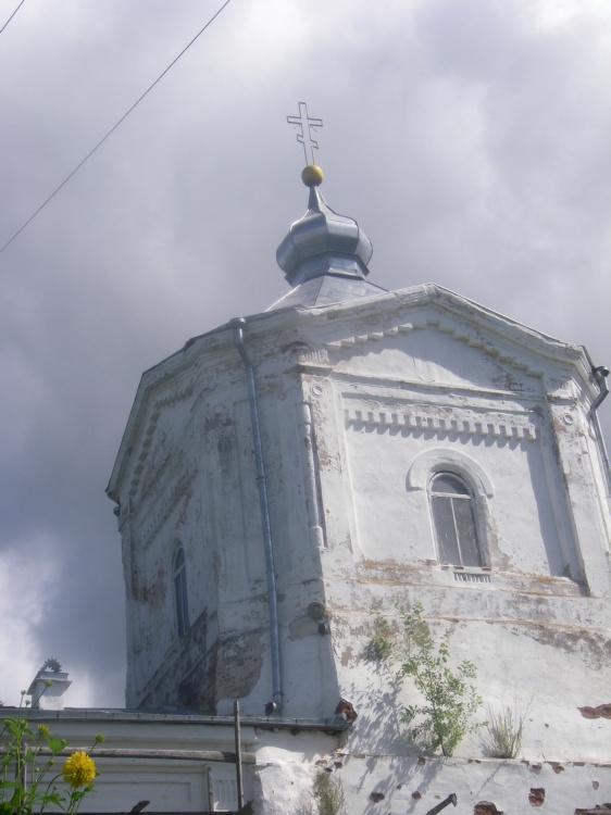Церковь Рождества Христова, Красиковщина (Псковский район, Псковская область). архитектурные детали, Церковь Рождества Христова, д.Красиковщина