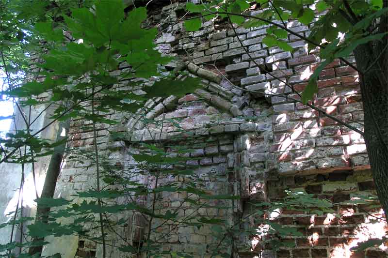 Церковь Казанской иконы Божией Матери (старая), Посадниково (Новоржевский район, Псковская область). архитектурные детали