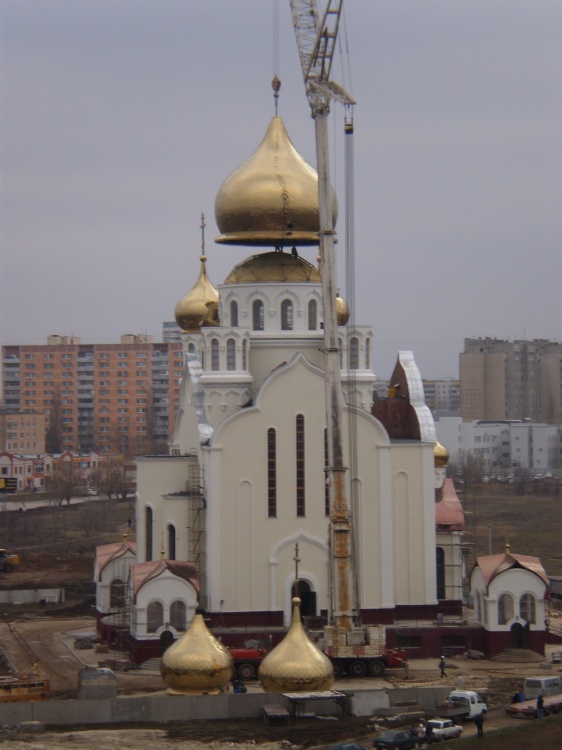 Волгодонск. Кафедральный собор Рождества Христова. документальные фотографии, Монтаж купола