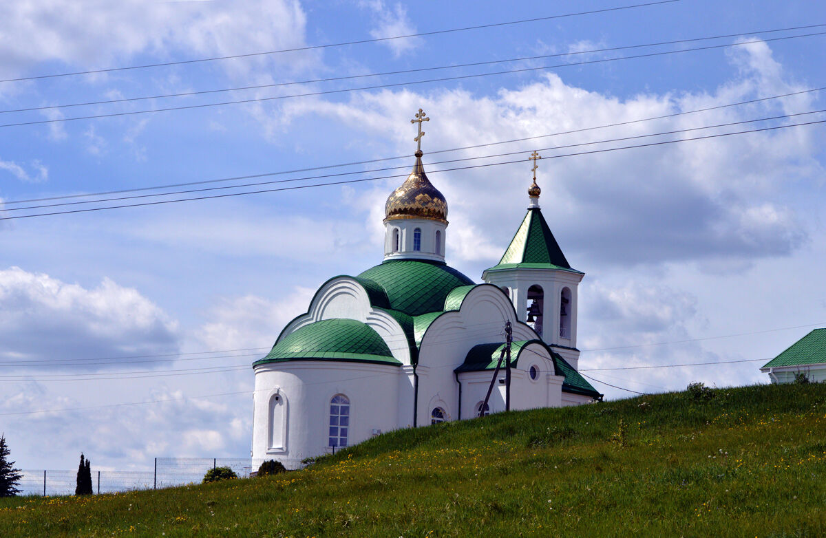 Церковь Вознесения Господня, Гремячье (Хохольский район, Воронежская область). фасады