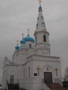 Бийск. Александра Невского, церковь