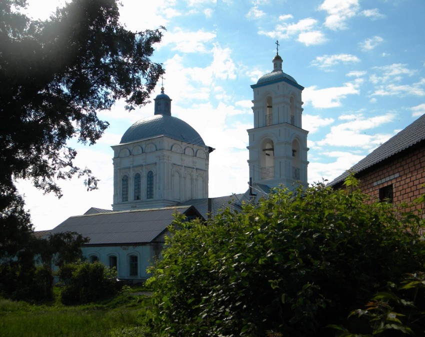 Церковь Успения Пресвятой Богородицы, Касторное (Касторенский район, Курская область). общий вид в ландшафте