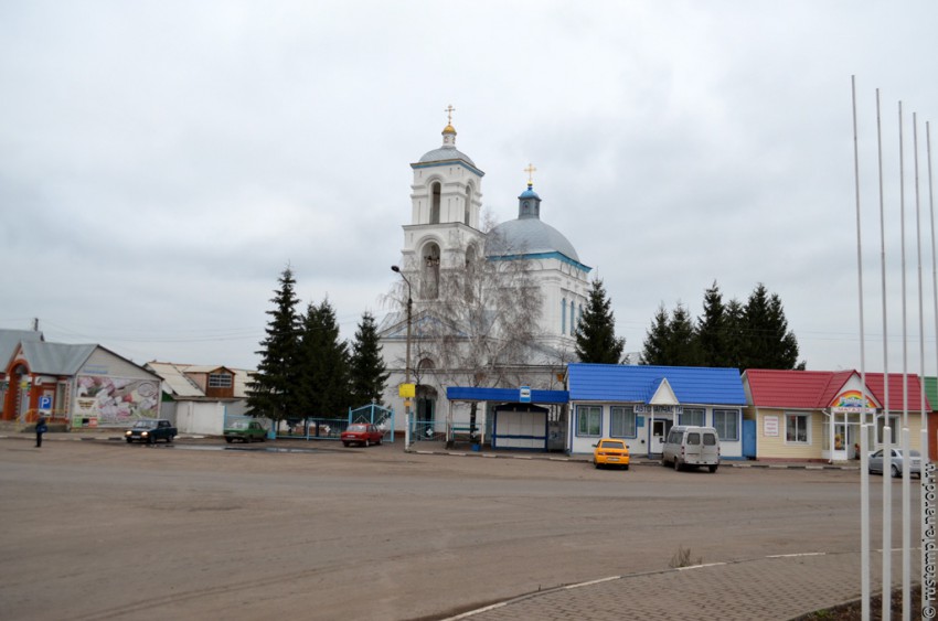 Касторное. Церковь Успения Пресвятой Богородицы. общий вид в ландшафте