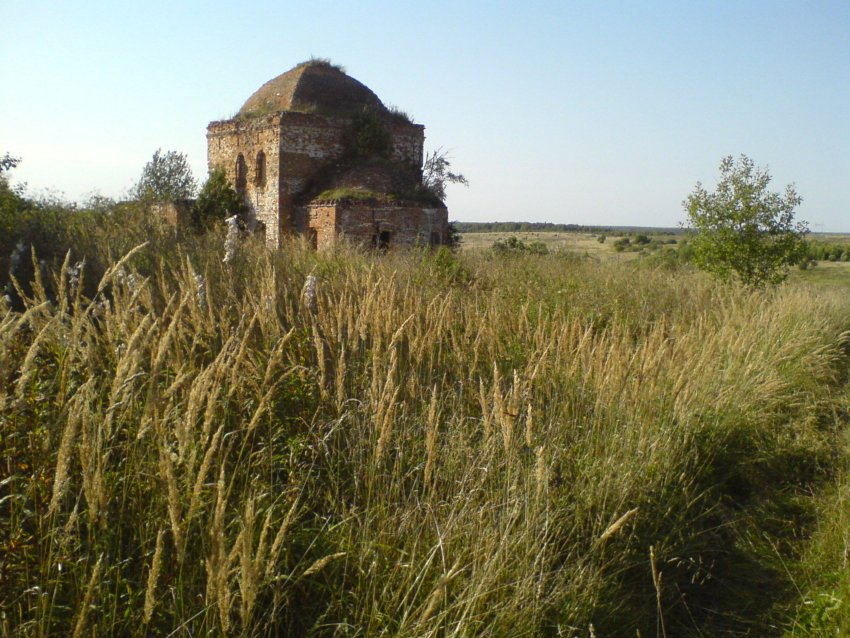 Церковь Троицы Живоначальной, Олисавино (Кольчугинский район, Владимирская область). общий вид в ландшафте