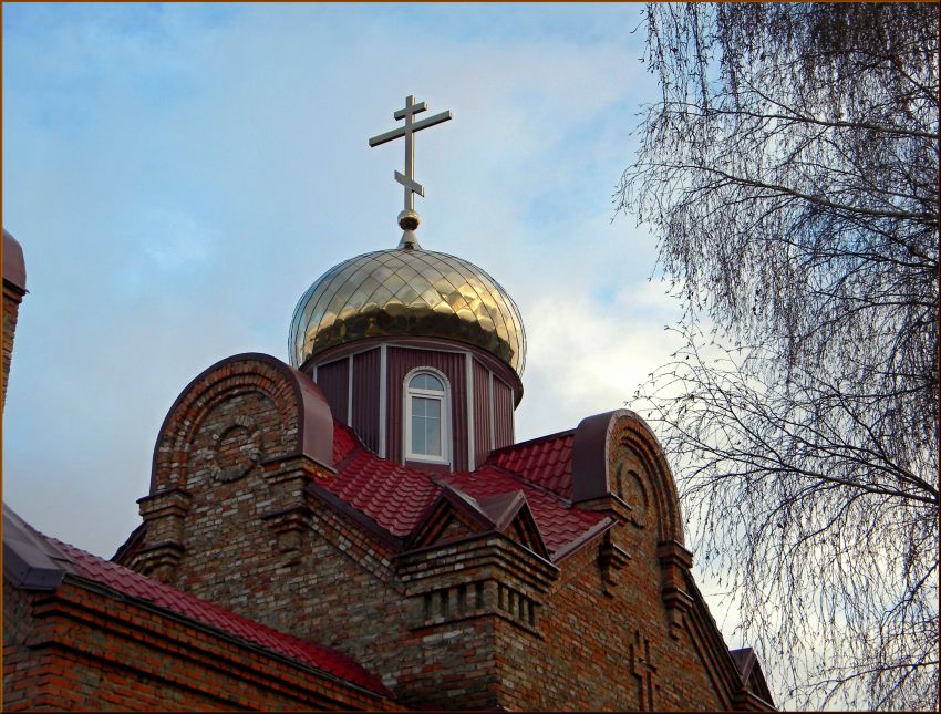 Дмитриев. Церковь Димитрия Солунского. архитектурные детали