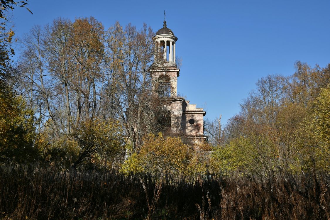 Церковь Владимирской иконы Божией Матери, Горницы (Кувшиновский район, Тверская область). общий вид в ландшафте, Общий вид с юга