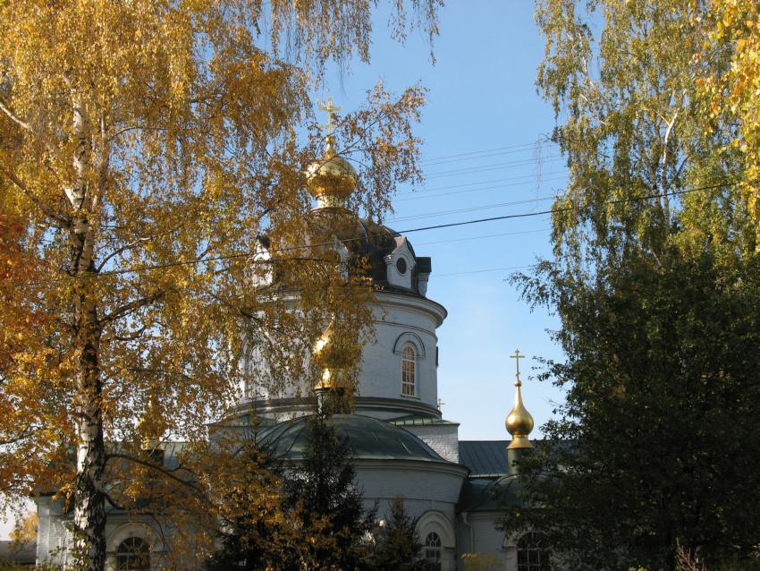 Церковь Космы и Дамиана, Летово (Рыбновский район, Рязанская область). художественные фотографии