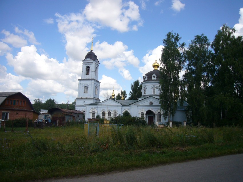 Церковь Космы и Дамиана, Летово (Рыбновский район, Рязанская область). общий вид в ландшафте