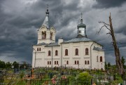 Церковь Рождества Христова, , Горнешно, Маловишерский район, Новгородская область