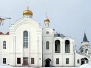 Кафедральный собор Серафима Саровского, , Златоуст, Златоуст, город, Челябинская область